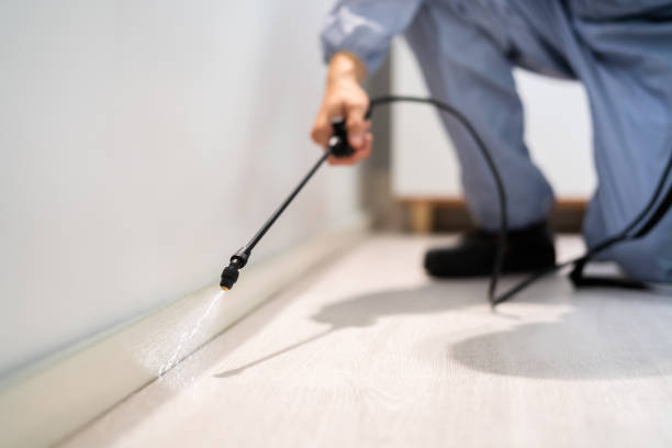 Licensed Termite Control service in Bedford County County, VA - Nex Pest Control