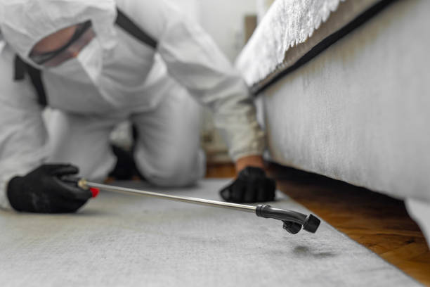 Professional Termite Control technician working in Bedford County County, VA